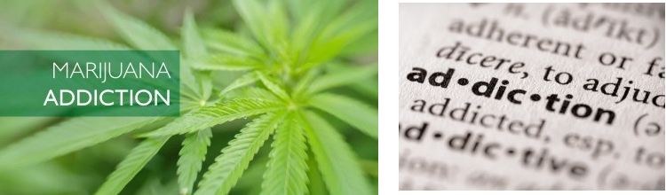 Marijuana Addiction recovery
