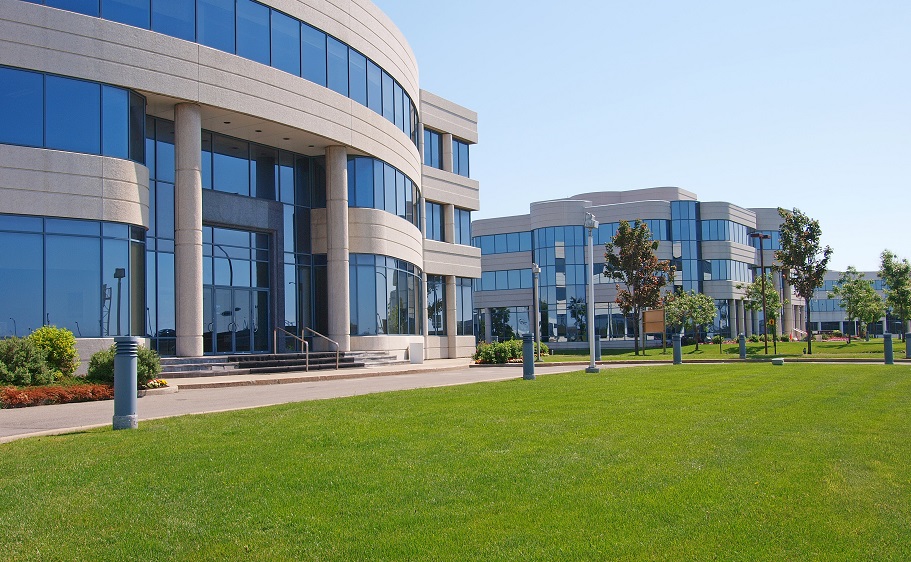 dual diagnosis treatment